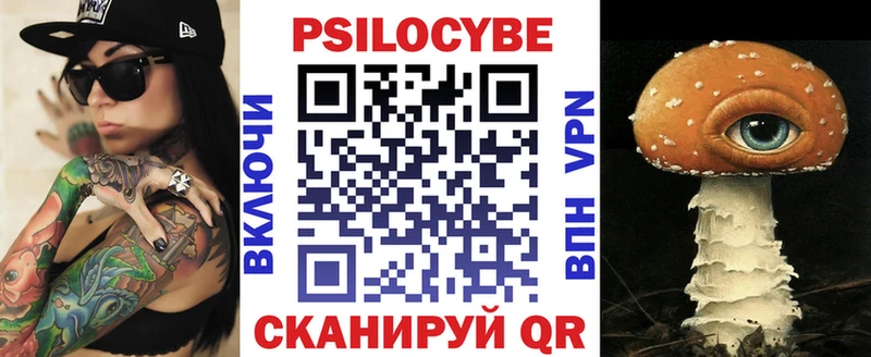 Галлюциногенные грибы ЛСД  нарко площадка официальный сайт  Каргат 